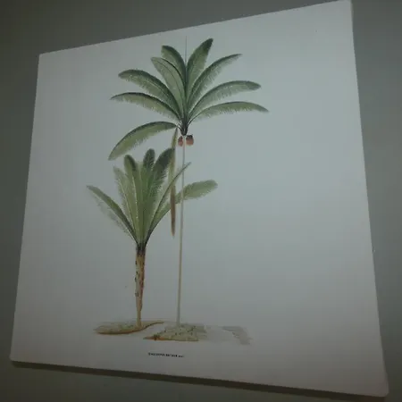 度假居 Maison Notre-dame-de-monts, Jardin, Animaux Ok - Fr-1-540-236 *