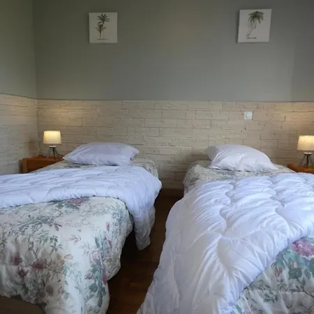 Maison Notre-dame-de-monts, Jardin, Animaux Ok - Fr-1-540-236