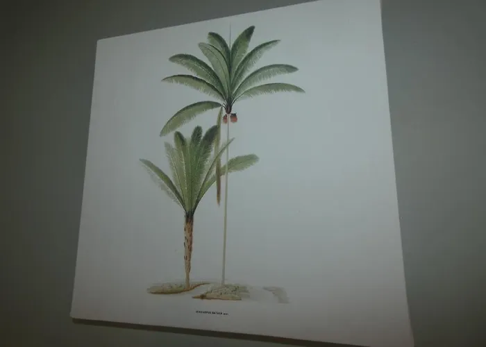 Hébergement de vacances Maison Notre-dame-de-monts, Jardin, Animaux Ok - Fr-1-540-236 *