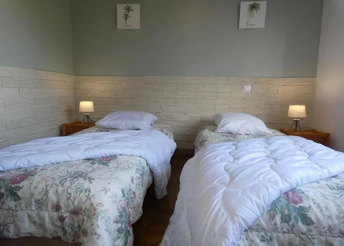 Maison Notre-dame-de-monts, Jardin, Animaux Ok - Fr-1-540-236